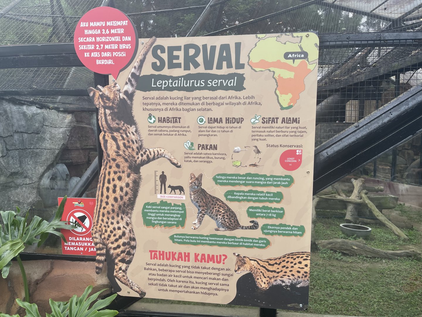 serval signage