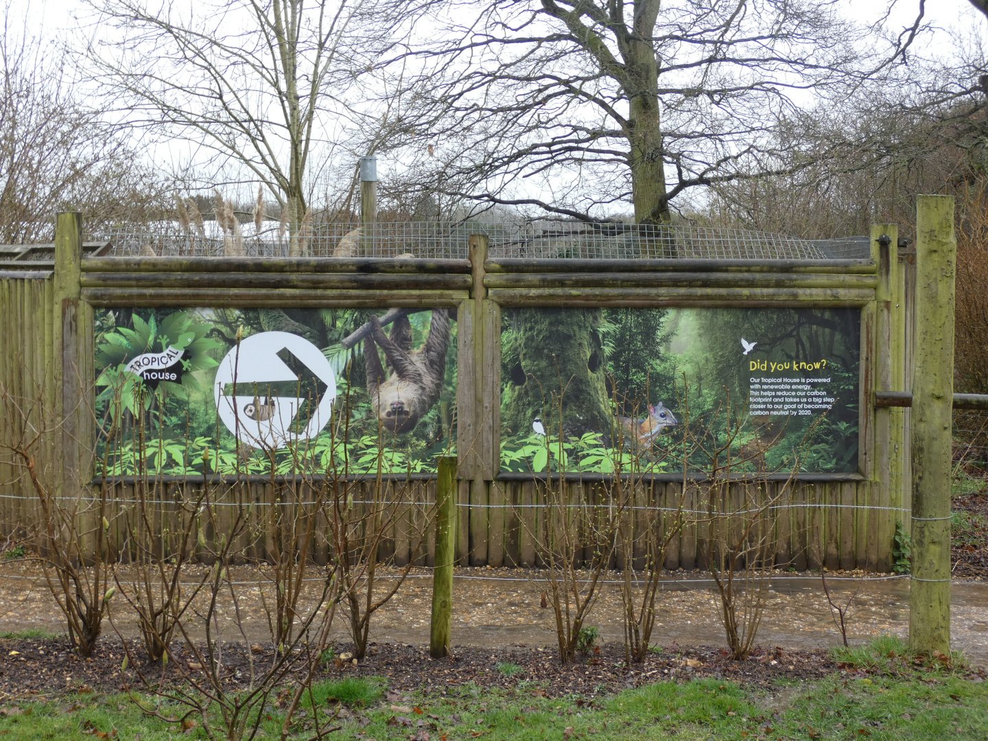 Serval viewing windows
