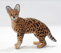 serval3