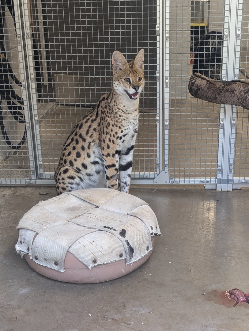 Servel at the Greensboro Science Center