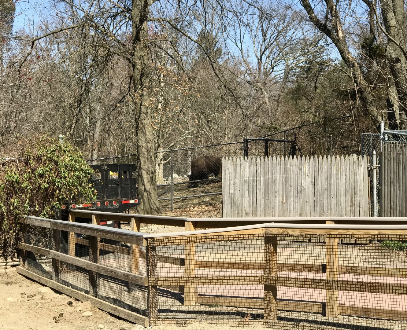 Service Access to Bison Exhibit