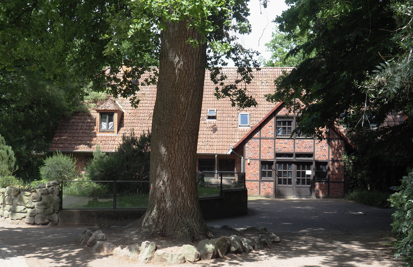 Service building, with Hermann's tortoise indoor exhibit on the right side behind the doors, and tortoise outdoor exhibit, 2025-05-22