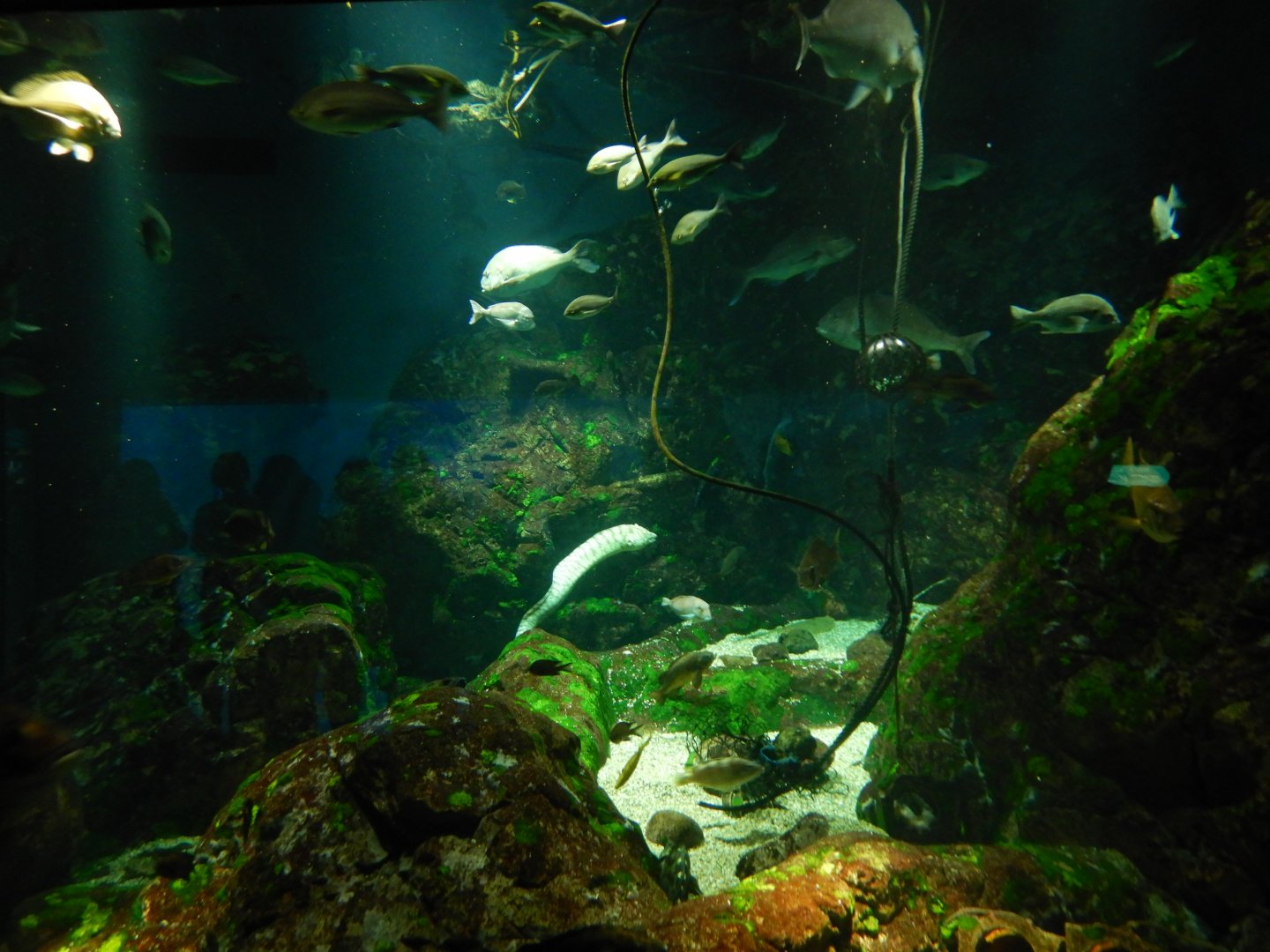 Seto Inland Sea Exhibit