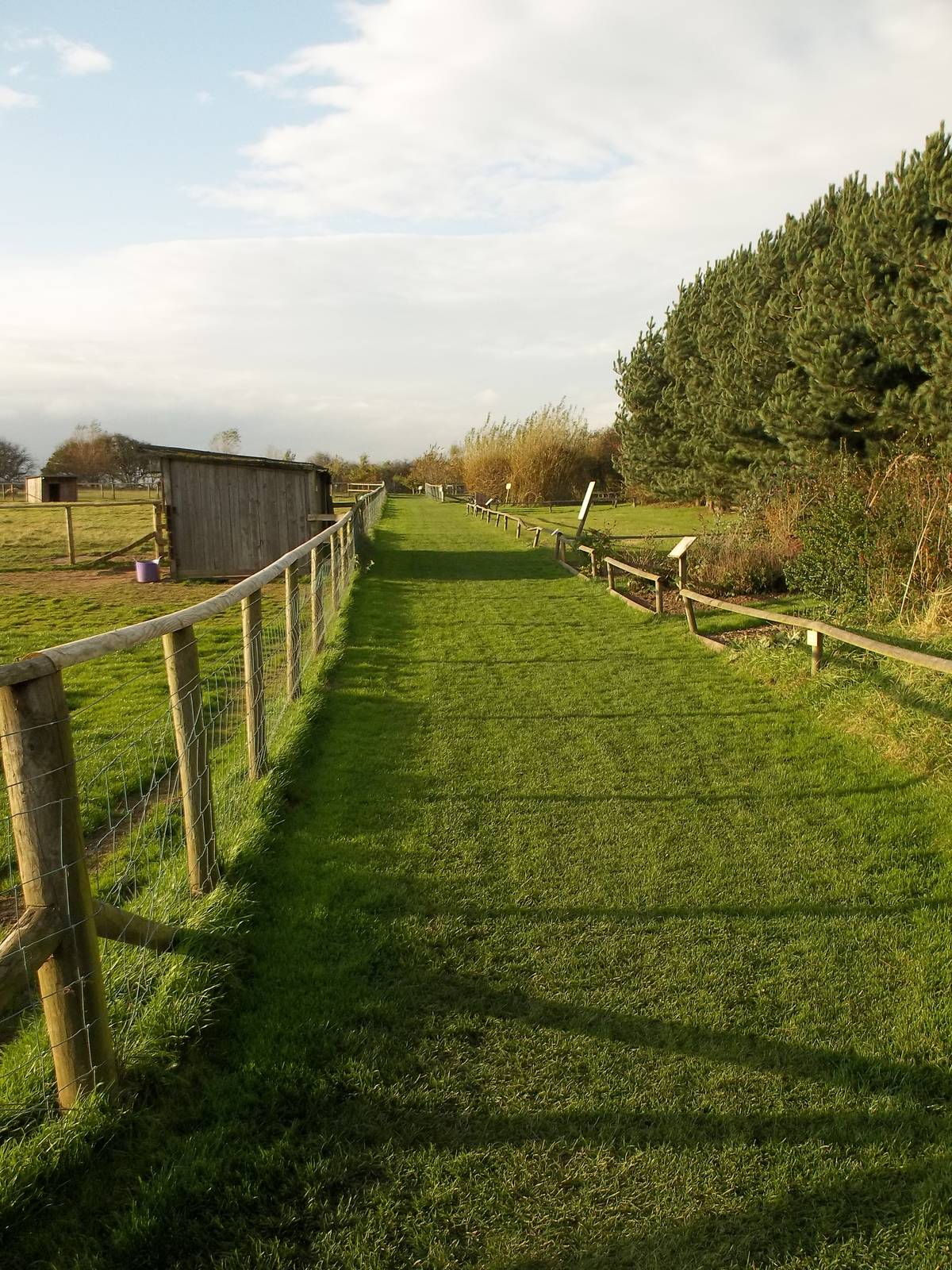 Setting off for the final potter around the paddocks area of 2014, 23rd Oct