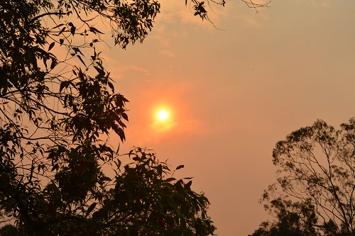 Setting sun through smoke.