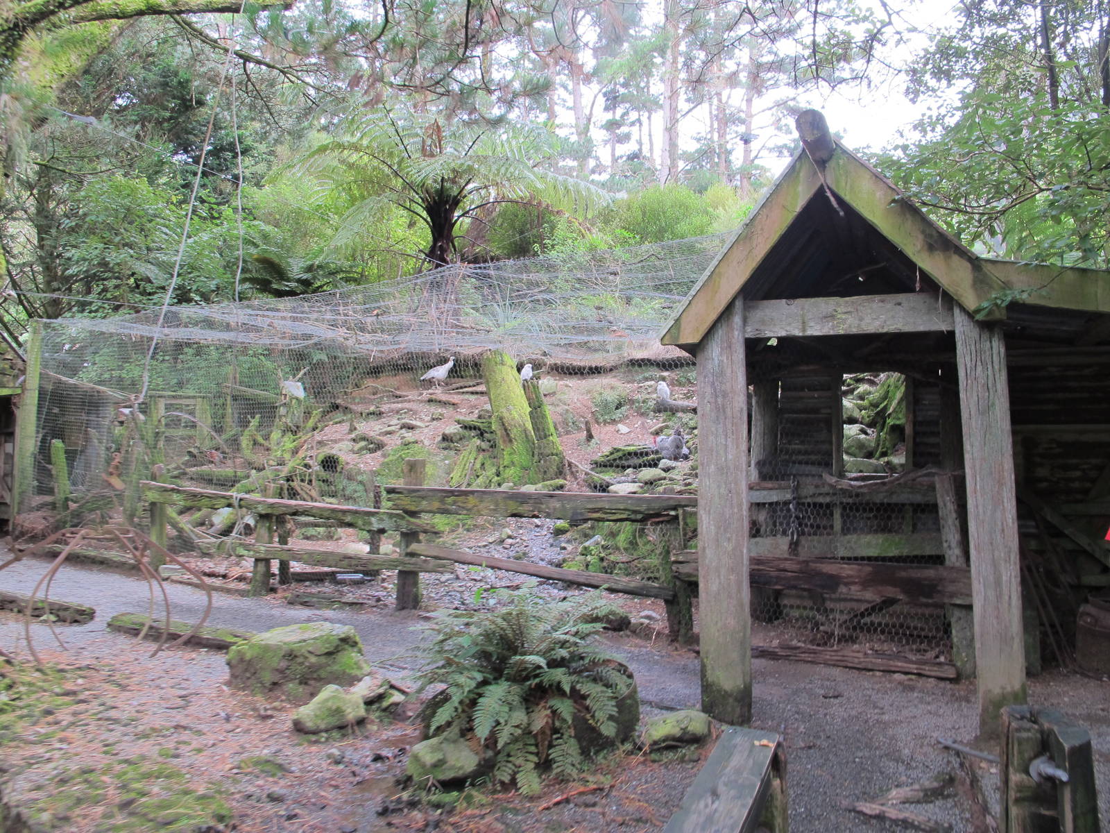 Settlement Aviary - Staglands 2013