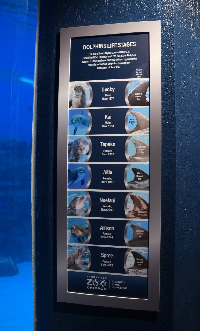 Seven Seas - Dolphin ID Sign