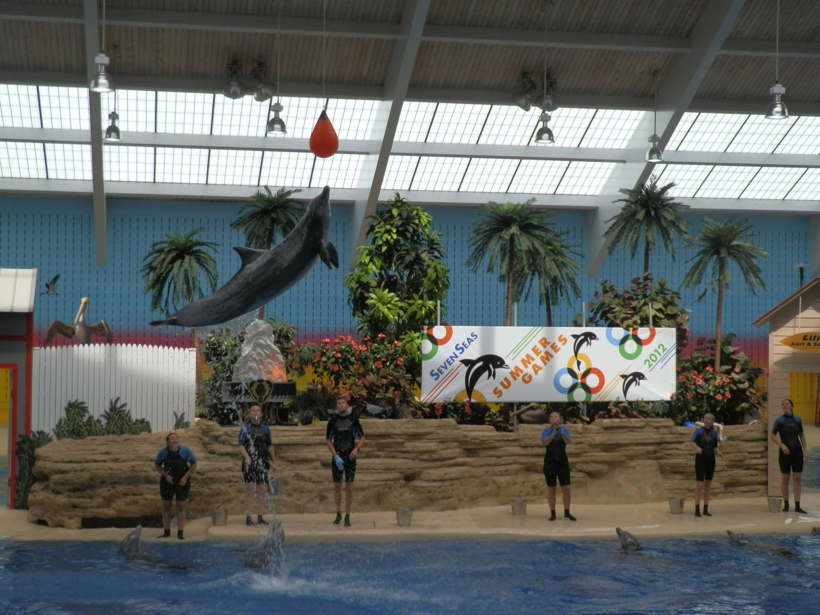 Seven Seas- Dolphin Show