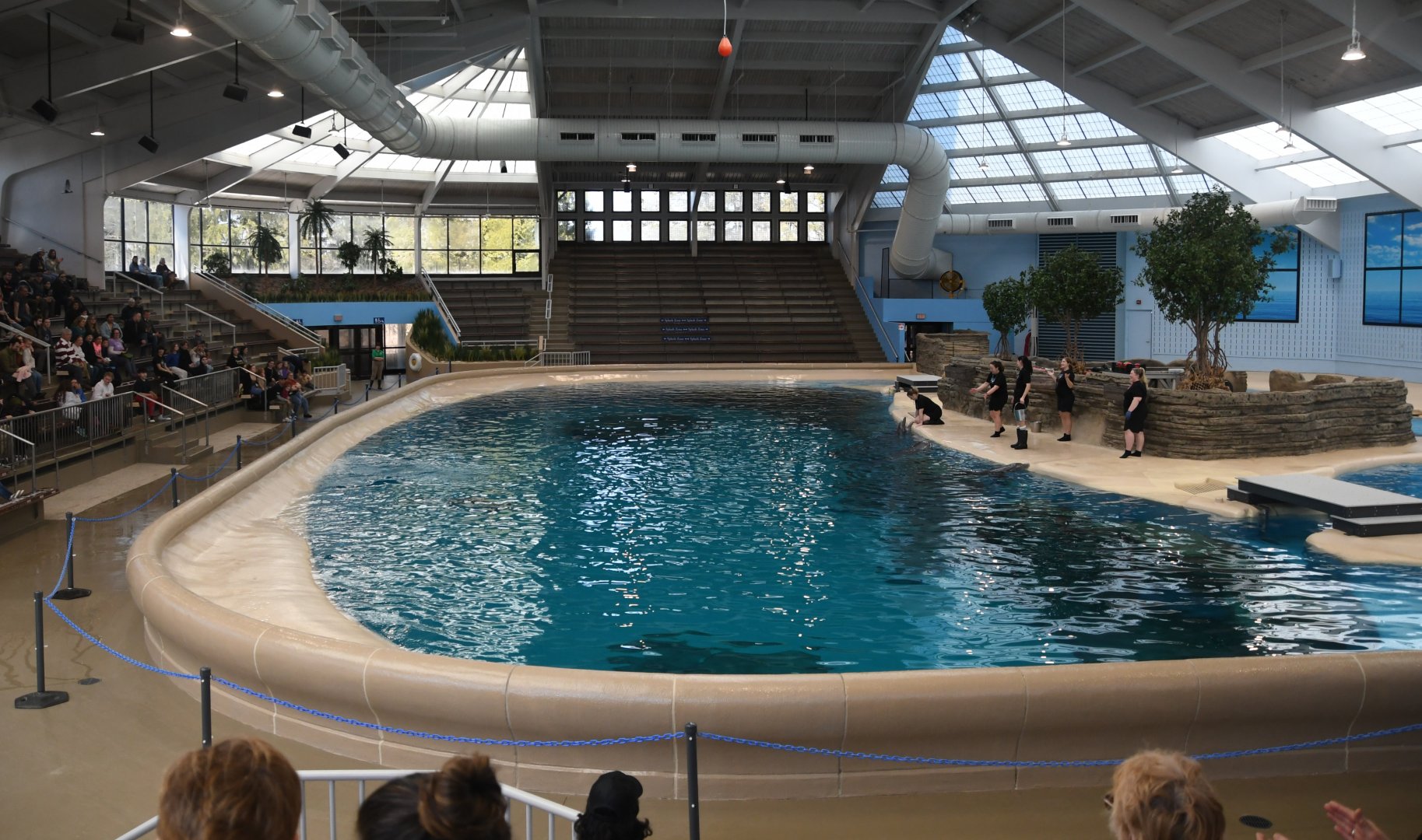 Seven Seas - Dolphin Stadium