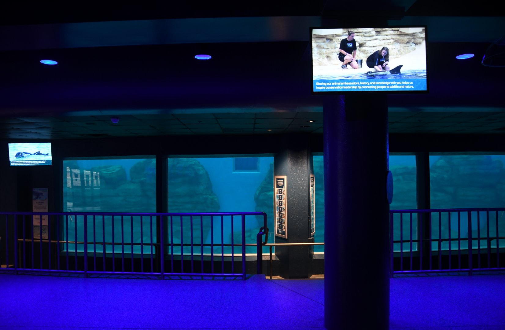 Seven Seas - Underwater Viewing Area