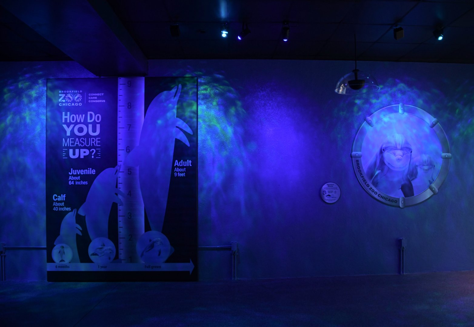 Seven Seas - Underwater Viewing Signage