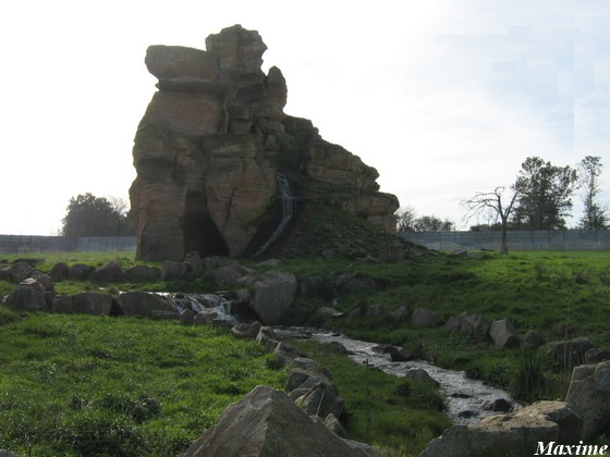 Seventh exhibit (Cars-Part) : American bears\Bighorn shepp