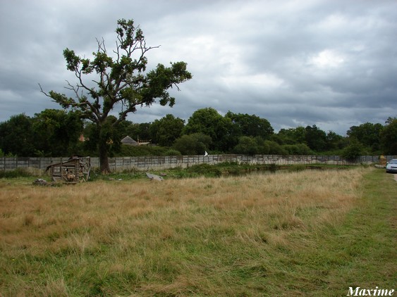 Seventh exhibit (Cars-Part) : Refuge for bighorn sheep