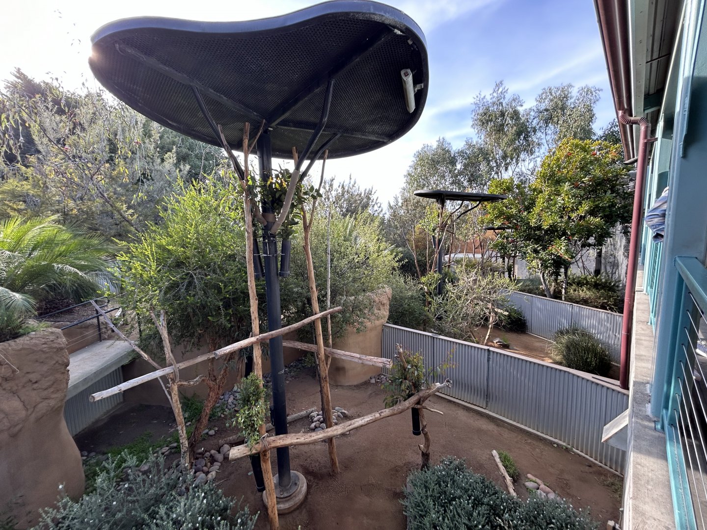 Several Koala Exhibits - Australian Outback