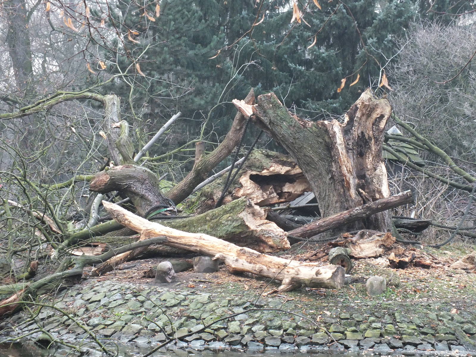 Severe damage to the gibbon island