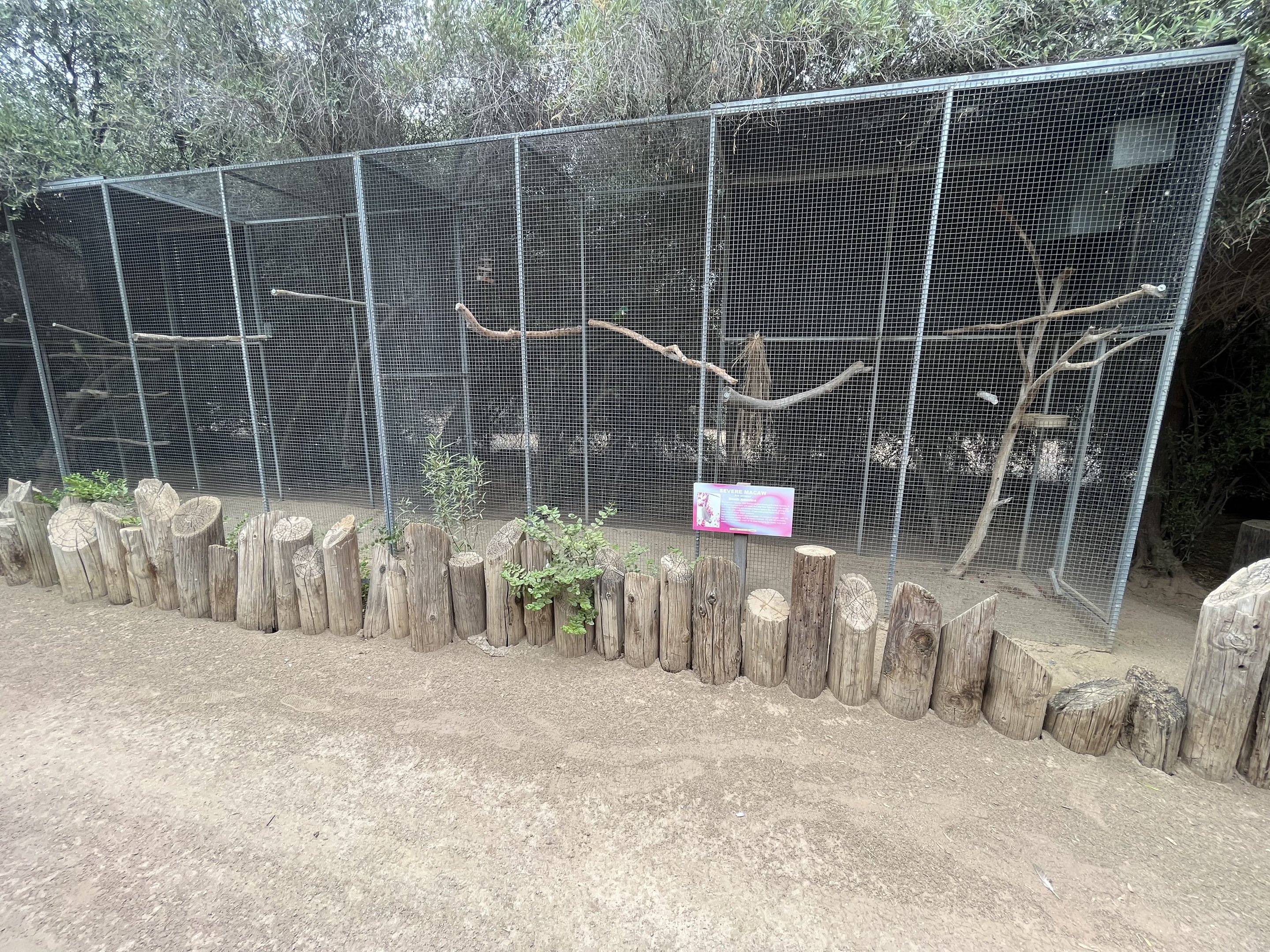 Severe Macaw Aviary