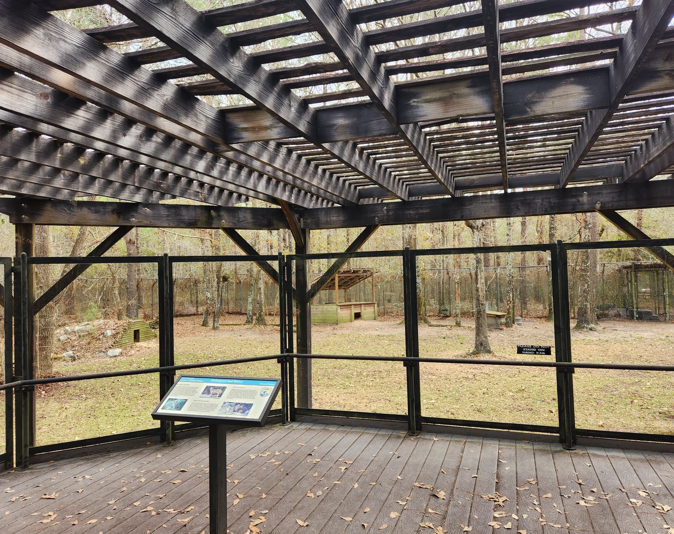 Sewee Center - Red Wolf viewing deck