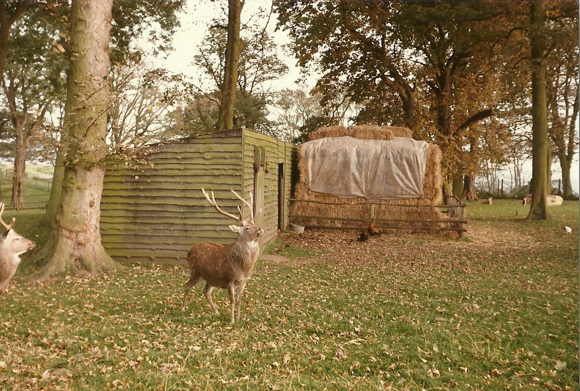 Sewerby Hall and Gardens 1985