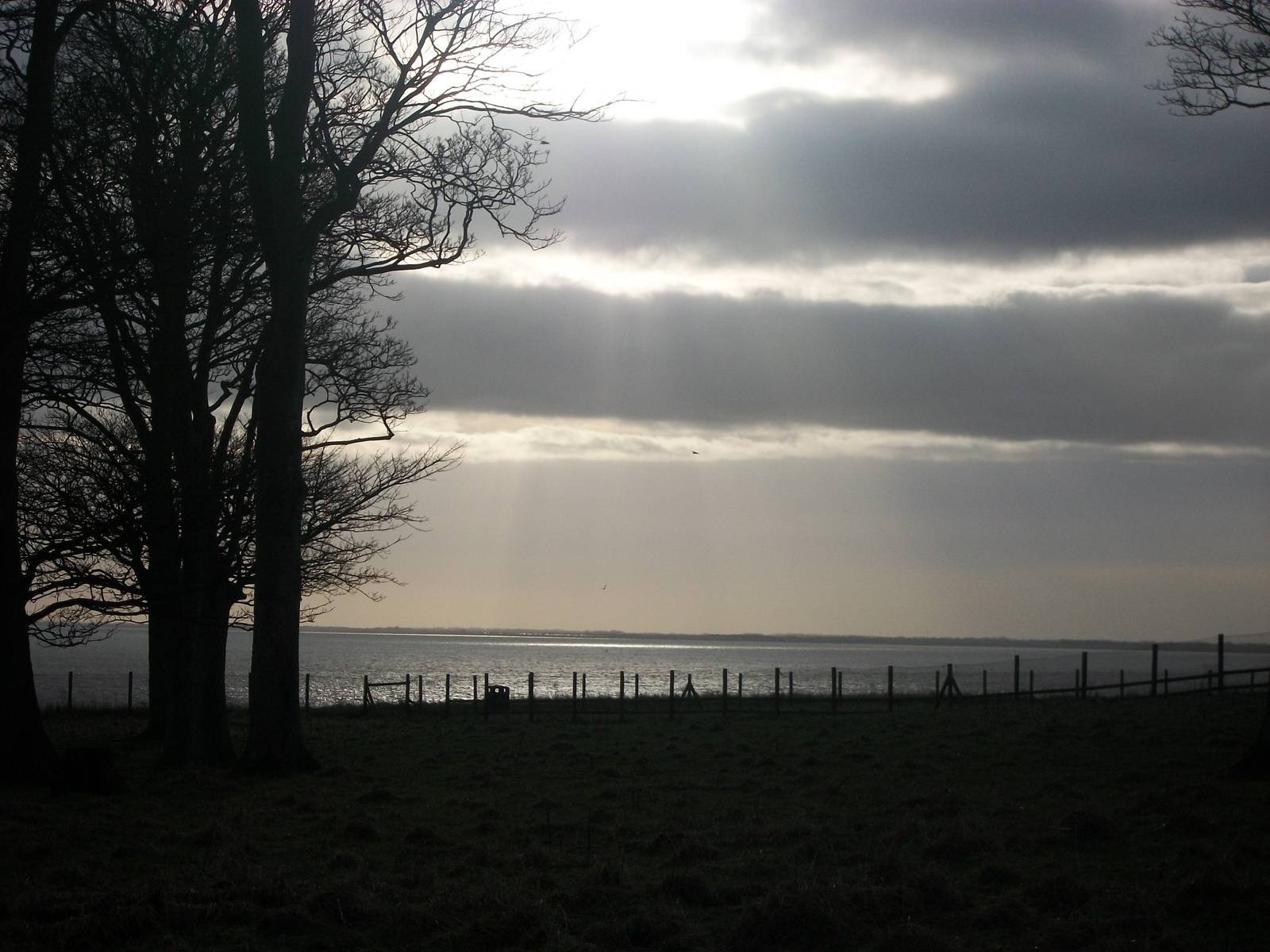 Sewerby Hall and Gardens,clifftop paddock with sea behind 26th December 201