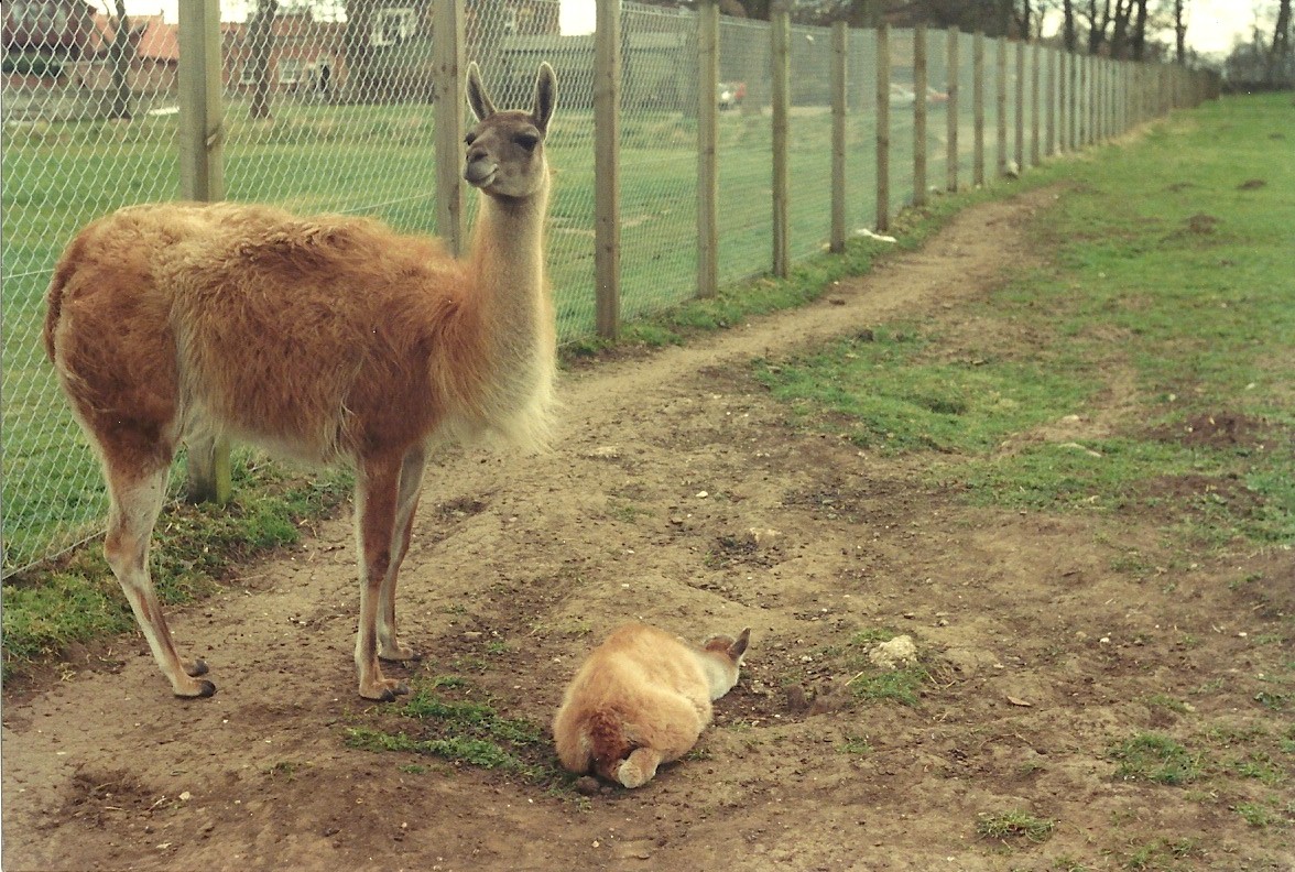 Sewerby Hall and Gardens early 1990s