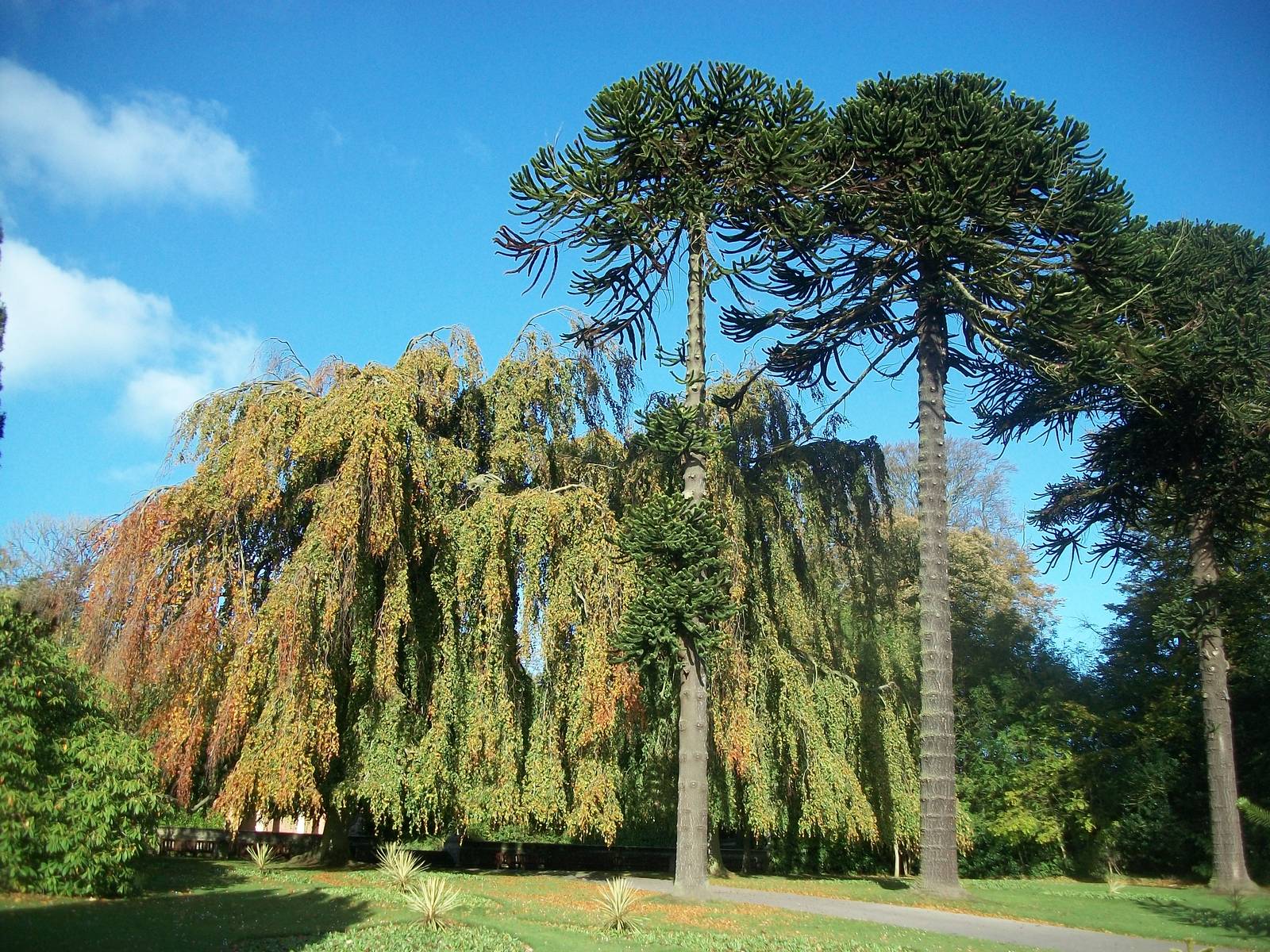 Sewerby Hall and Gardens, gardens near zoo 27th October 2012