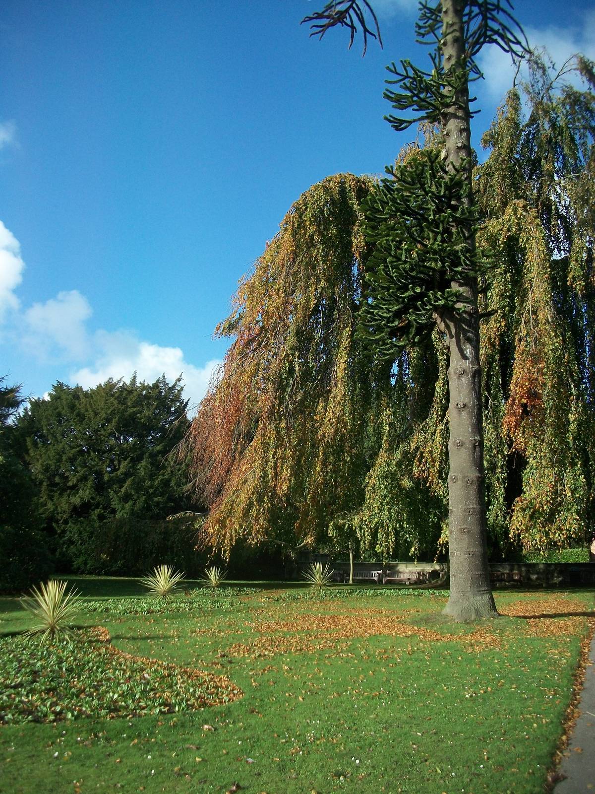 Sewerby Hall and gardens, gardens near zoo 27th October 2012