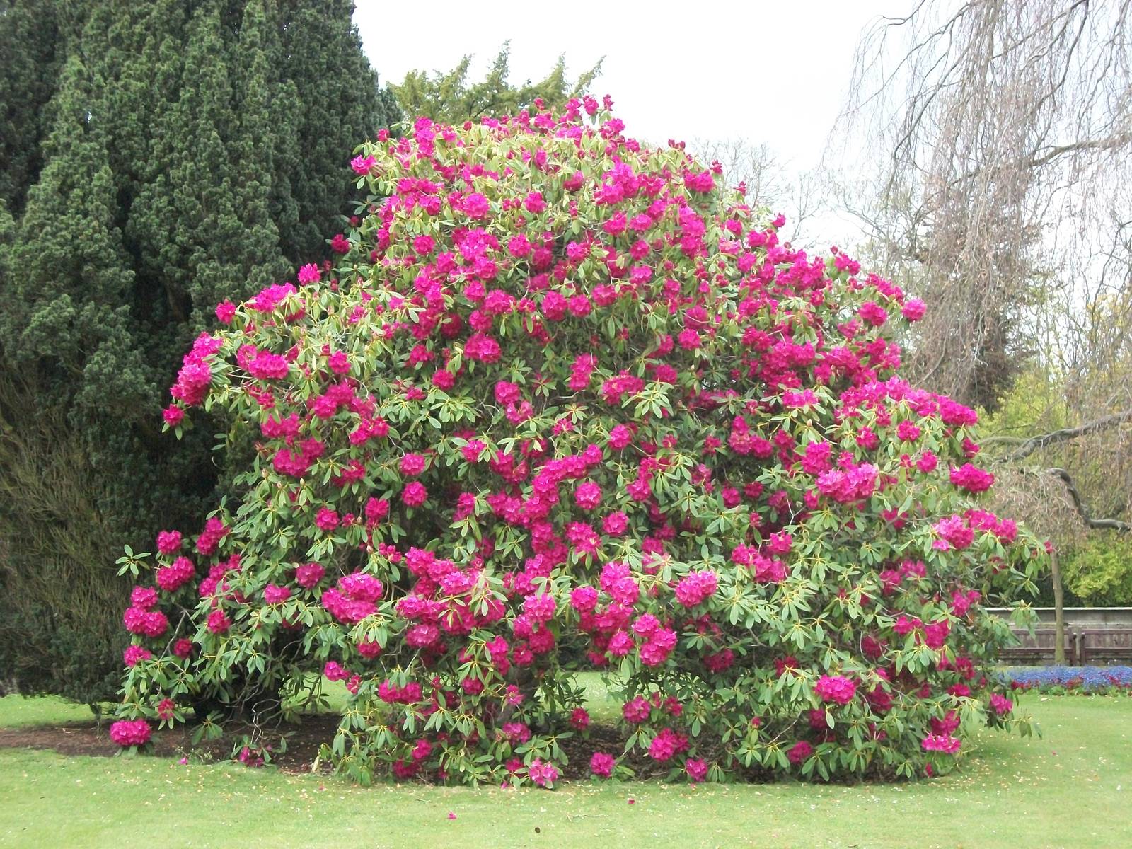 Sewerby Hall and Gardens, gardens near zoo