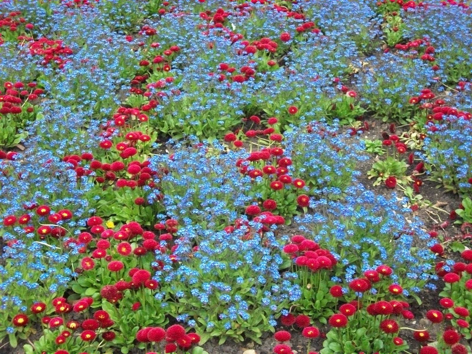 Sewerby Hall and Gardens, gardens near zoo