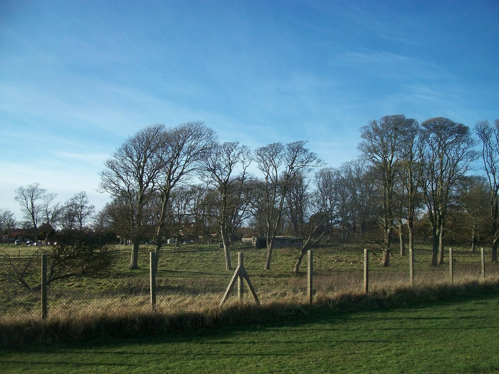 Sewerby Hall and Gardens, paddocks area 11th November 2012