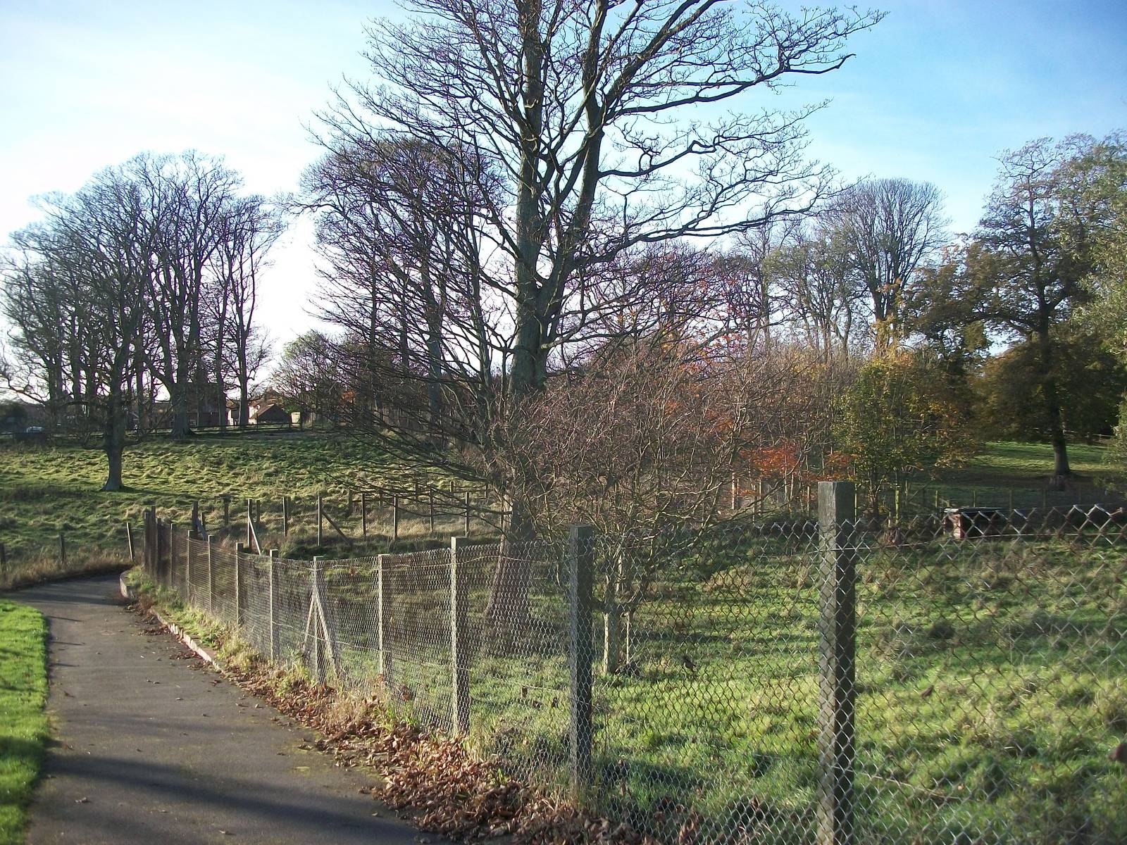 Sewerby Hall and Gardens, paddocks area 11th November 2012