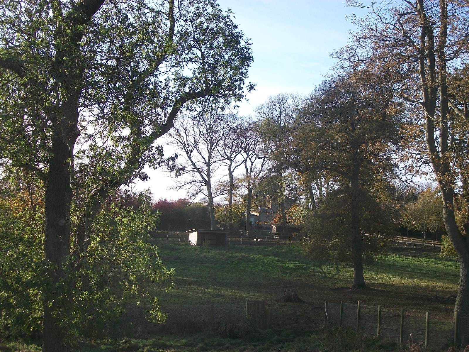 Sewerby Hall and Gardens, paddocks area 11th November 2012