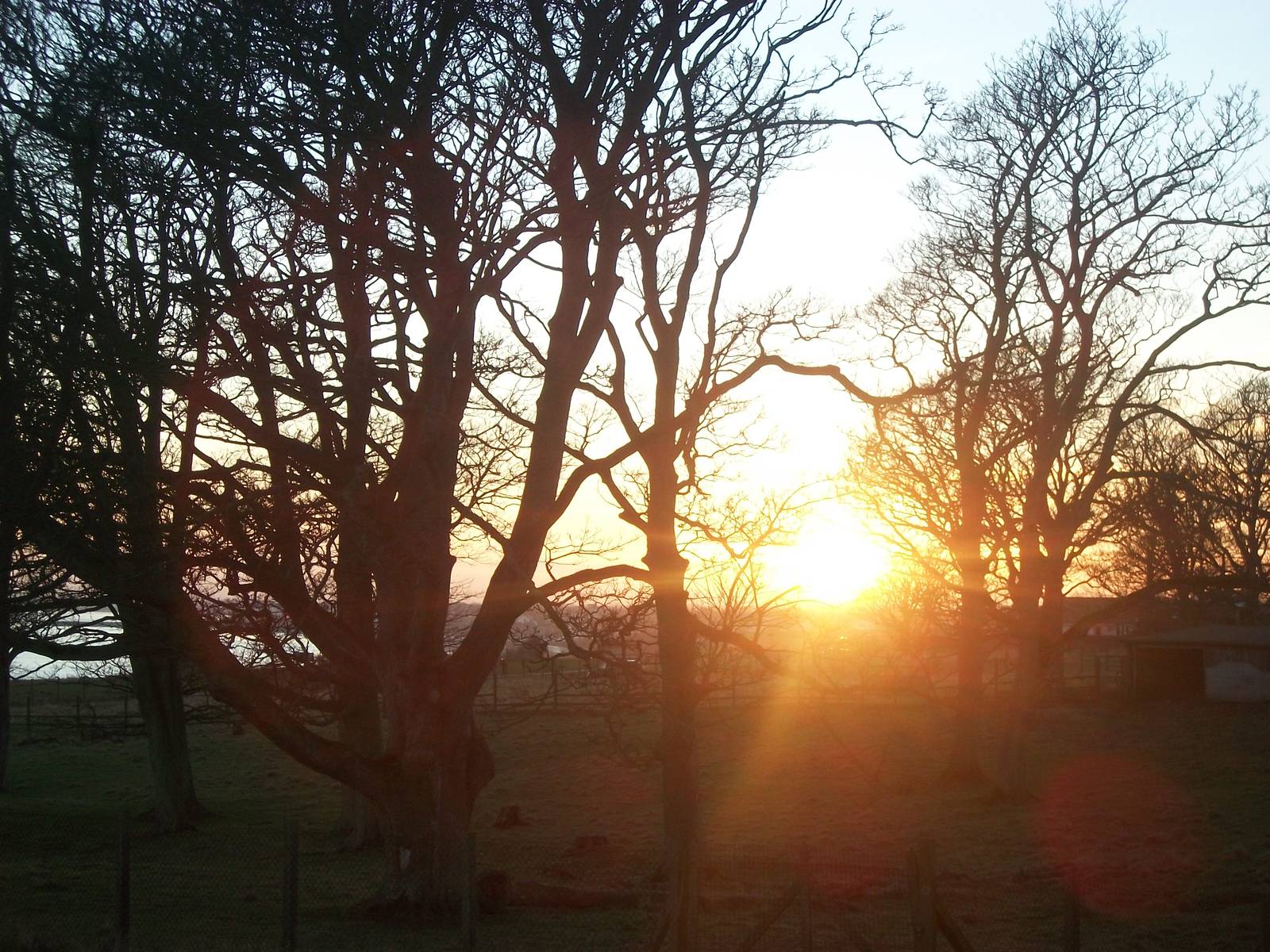 Sewerby Hall and Gardens, sunset over the clifftop paddocks 9th January 201
