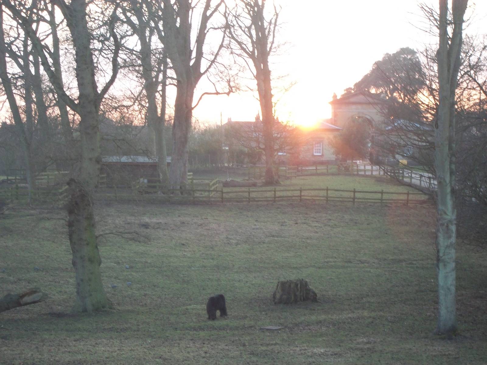 Sewerby Hall and Gardens, Sunset over the Pony Paddock 16th February 2013
