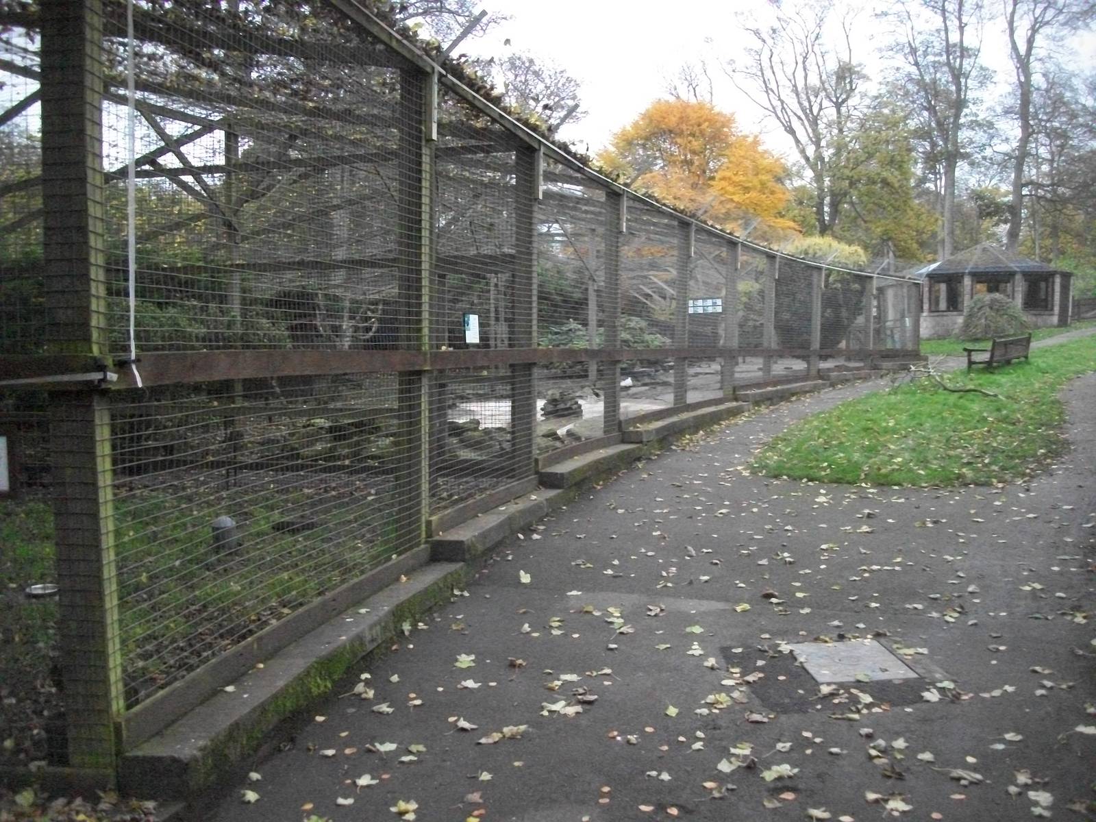 Sewerby Zoo 9th November 2012