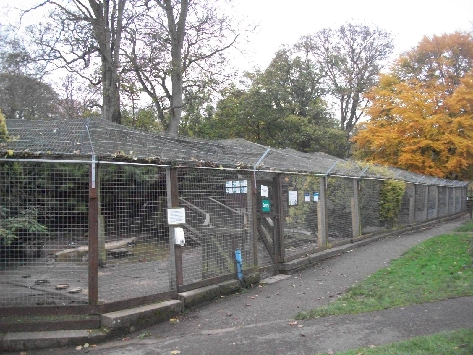 Sewerby Zoo 9th November 2012