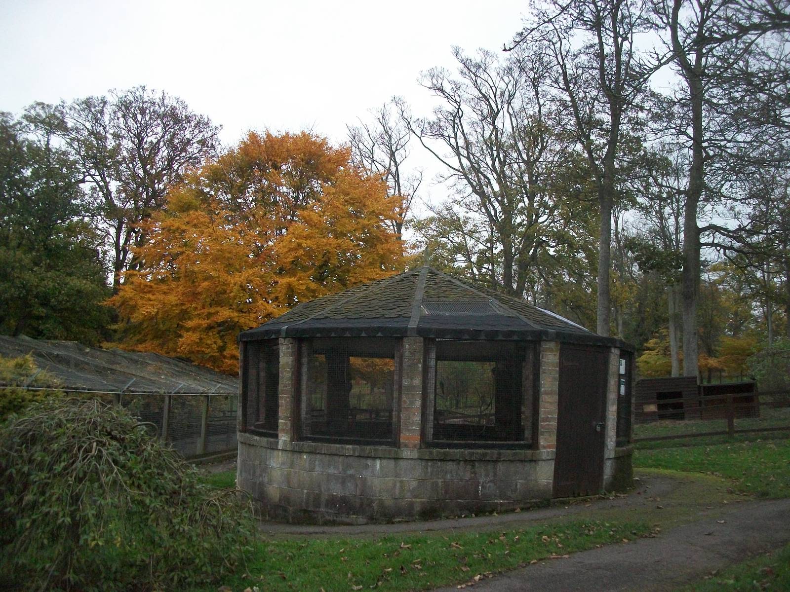 Sewerby Zoo 9th November 2012