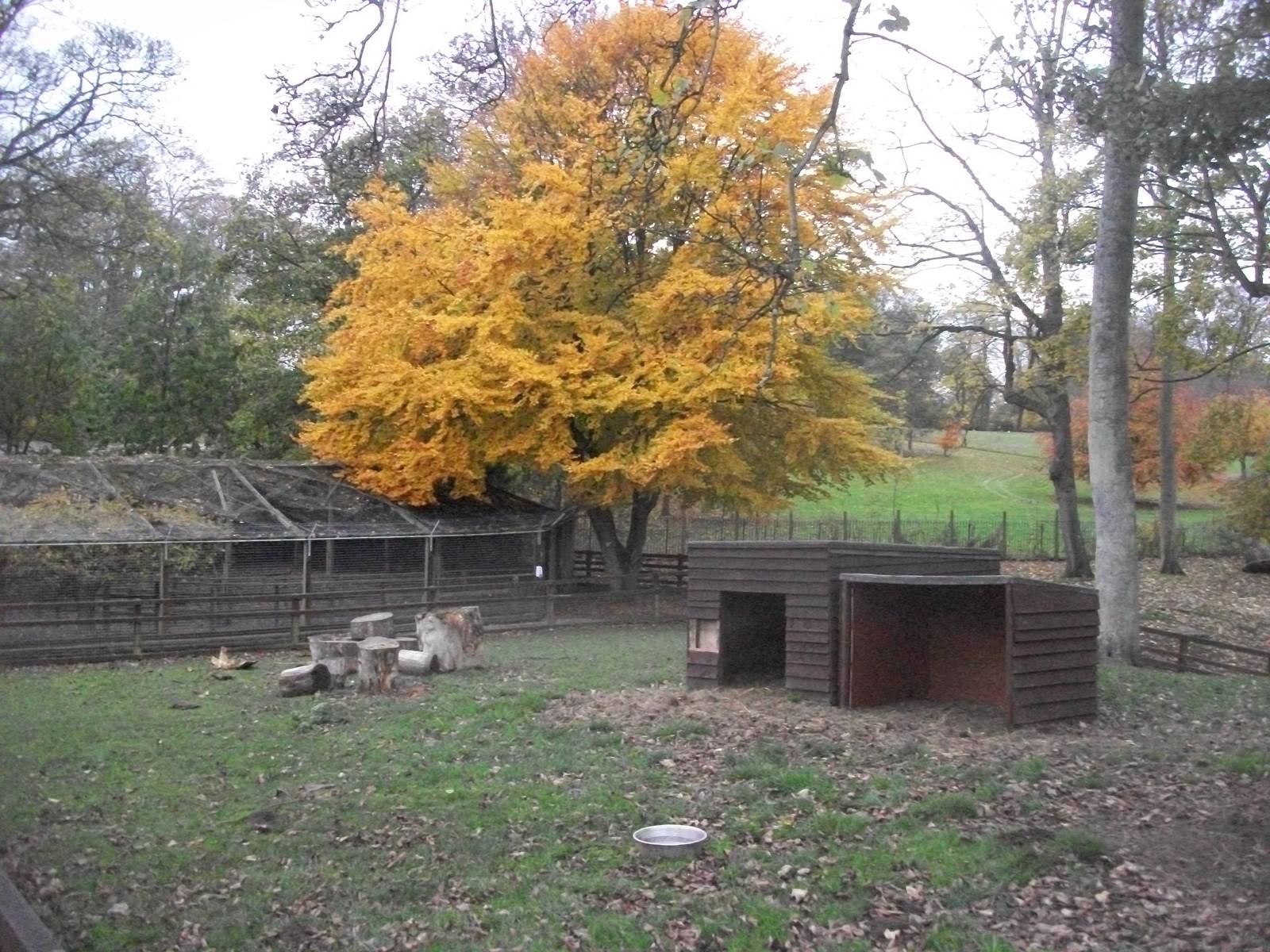 Sewerby Zoo 9th November 2012