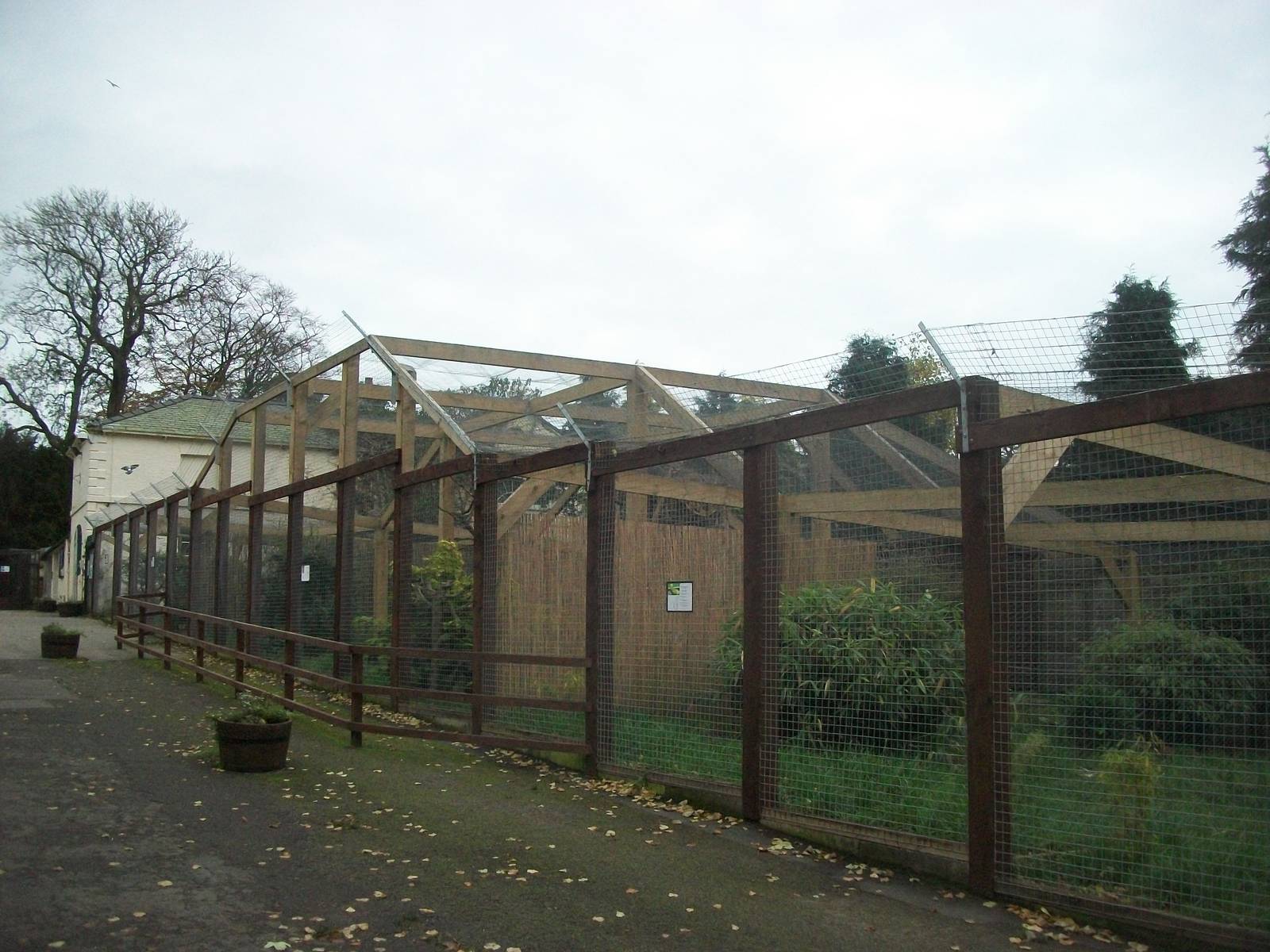 Sewerby Zoo 9th November 2012