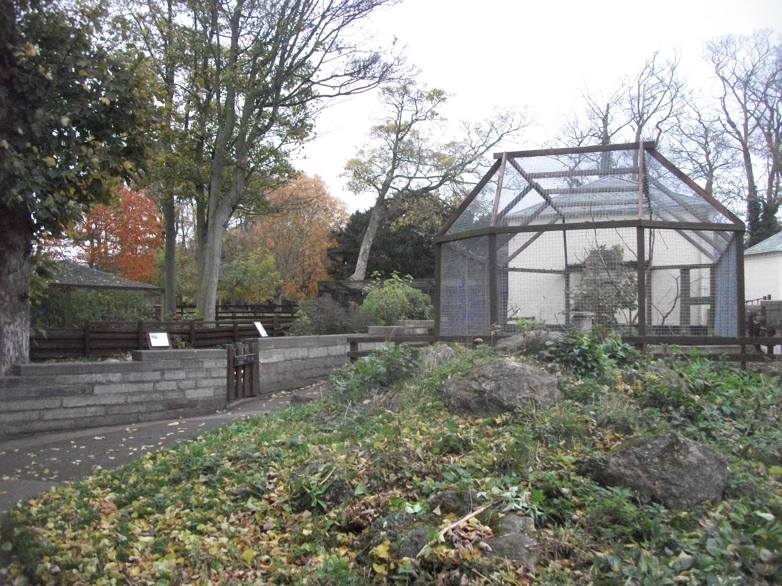 Sewerby Zoo 9th November 2012