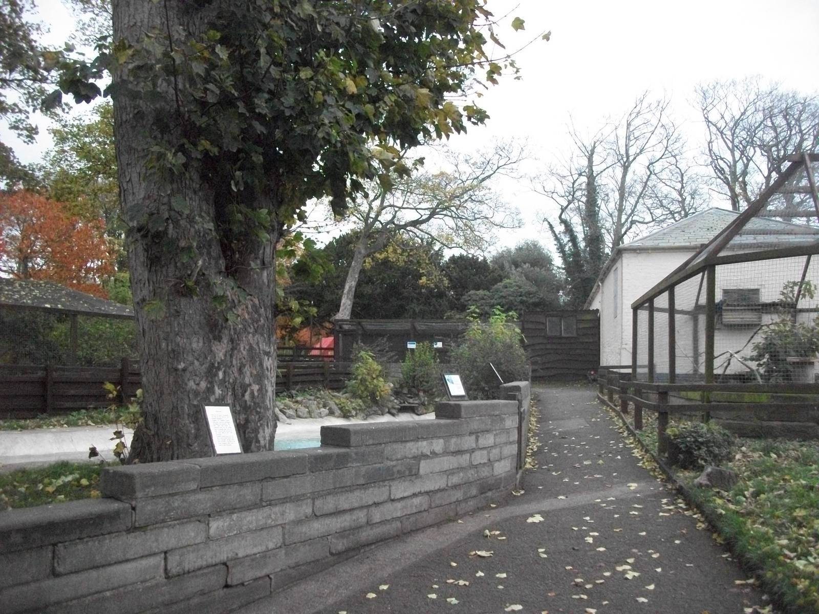 Sewerby Zoo 9th November 2012