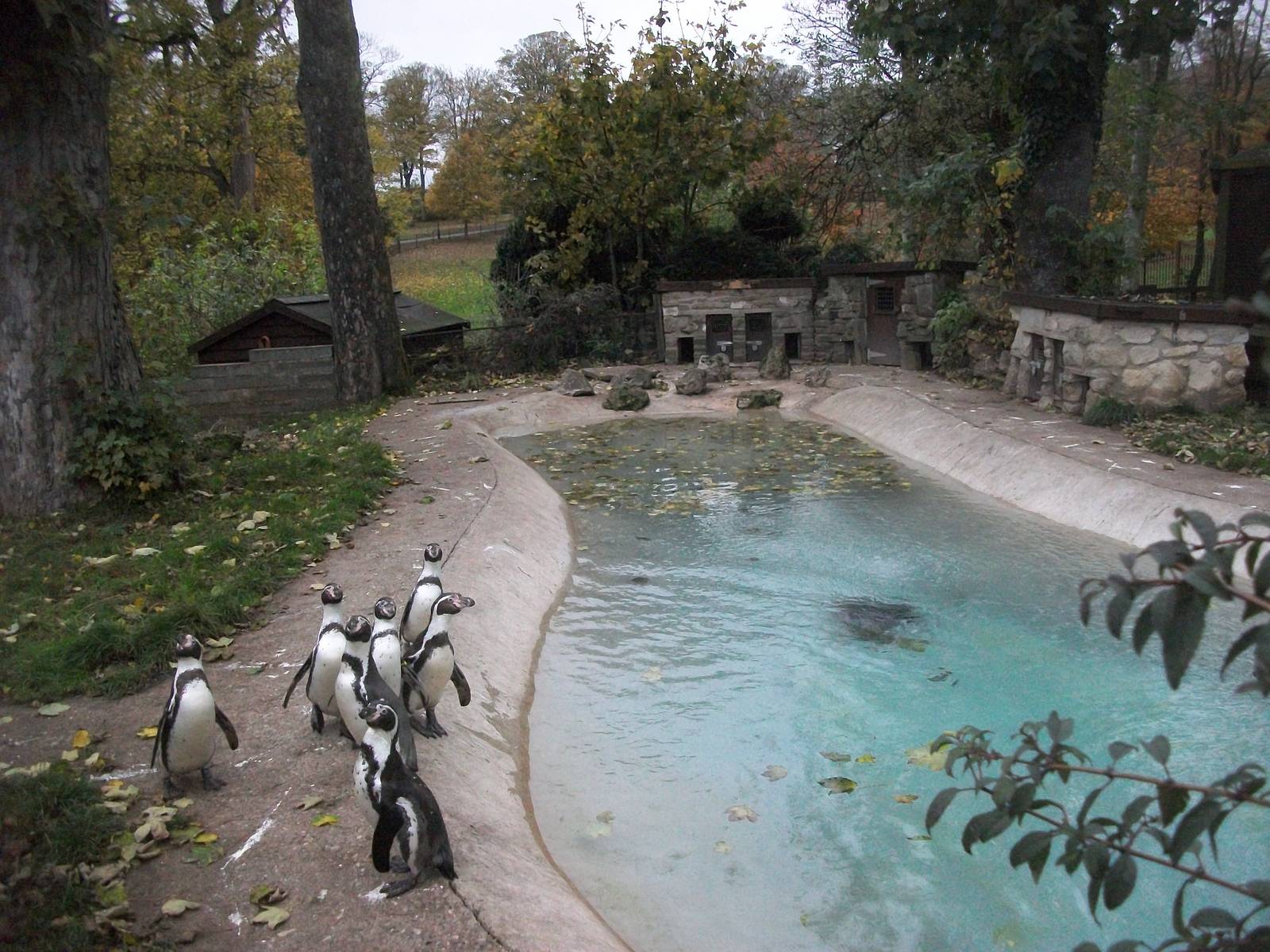 Sewerby Zoo 9th November 2012