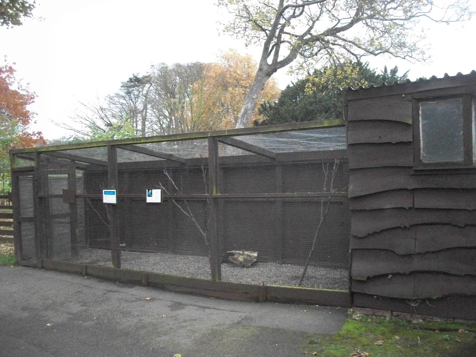 Sewerby Zoo 9th November 2012