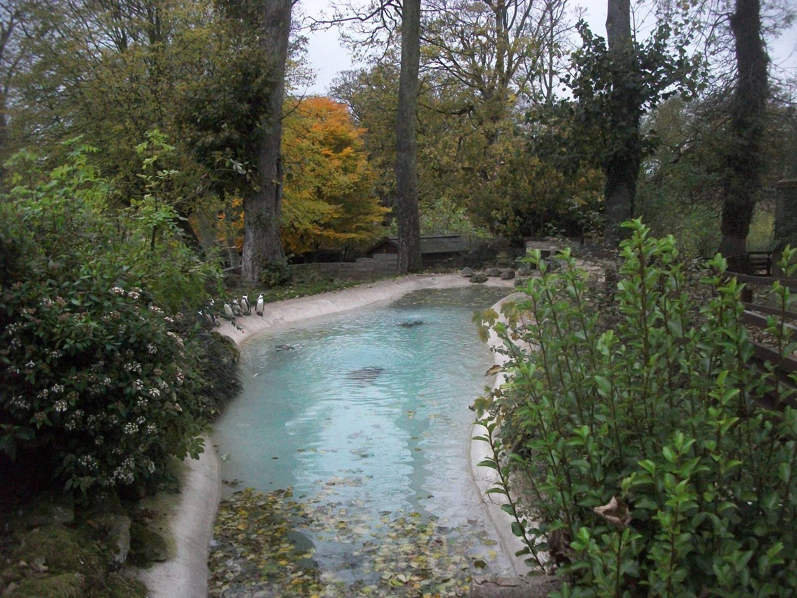 Sewerby Zoo 9th November 2012