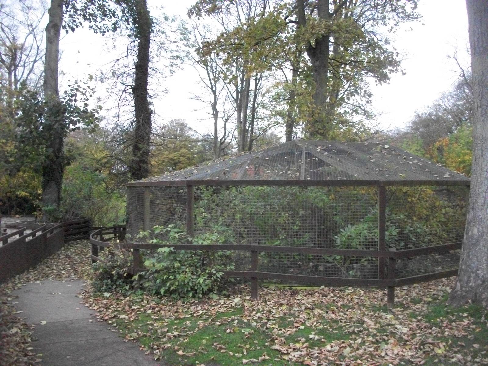 Sewerby Zoo 9th November 2012