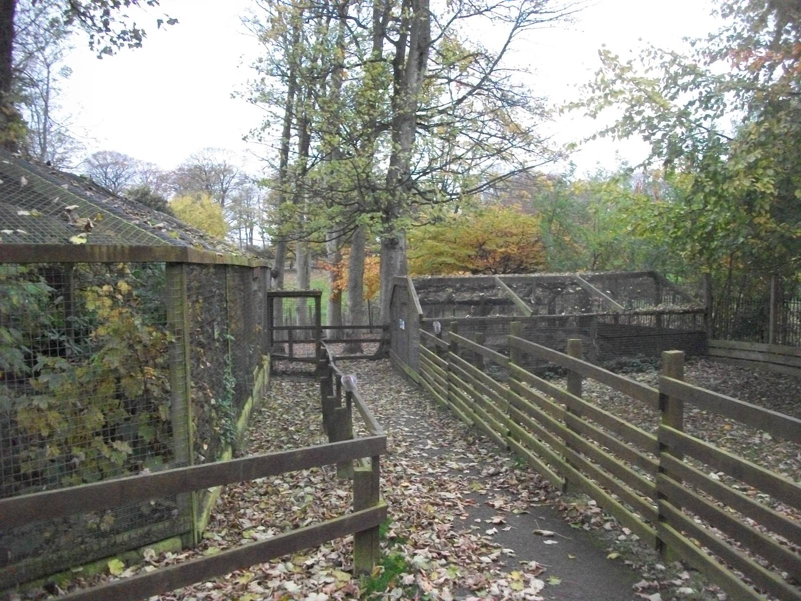 Sewerby Zoo 9th November 2012