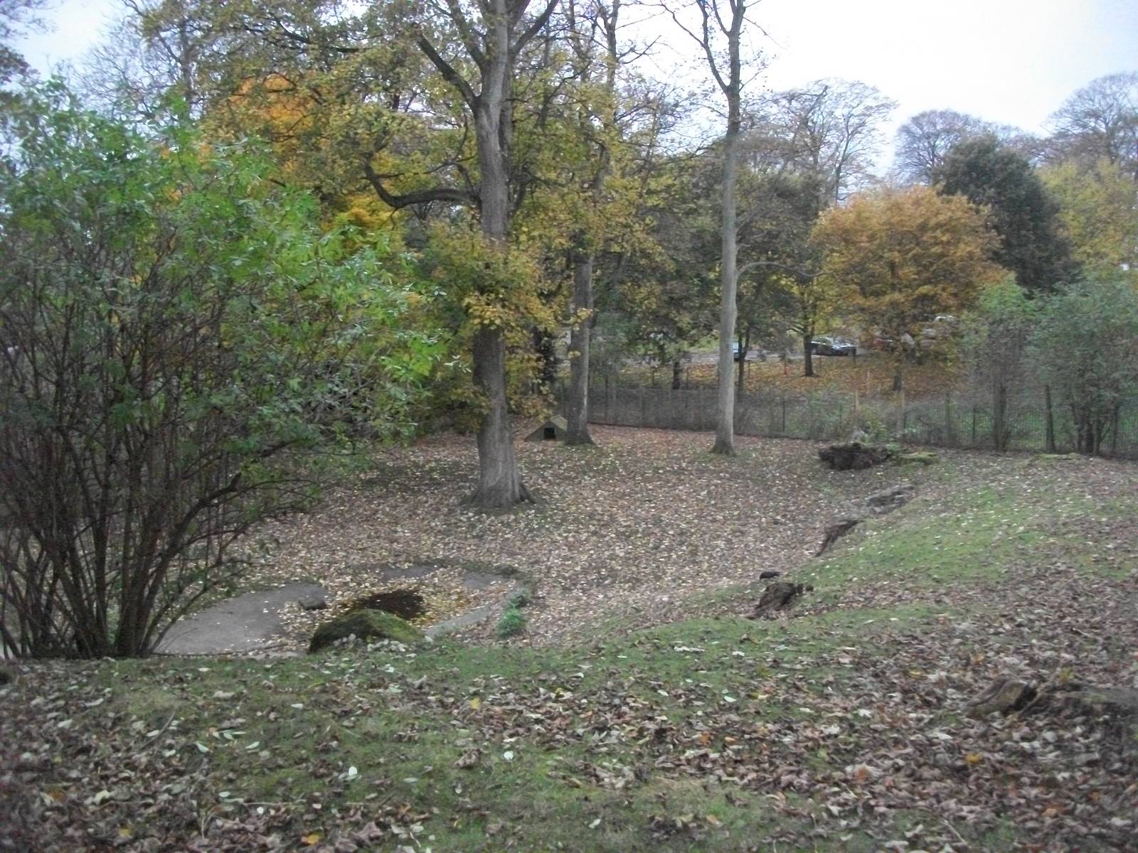 Sewerby Zoo 9th November 2012