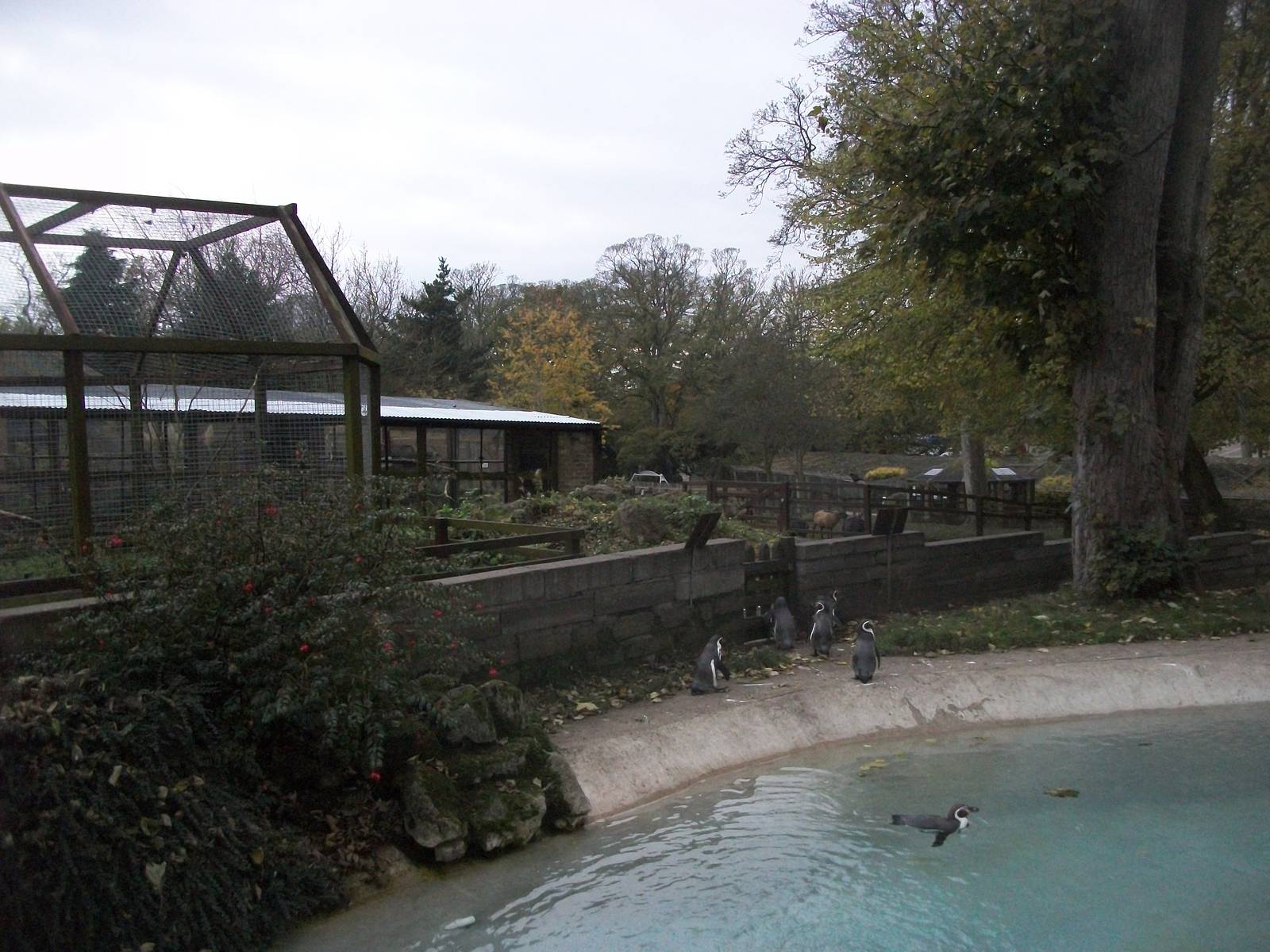 Sewerby Zoo 9th November 2012