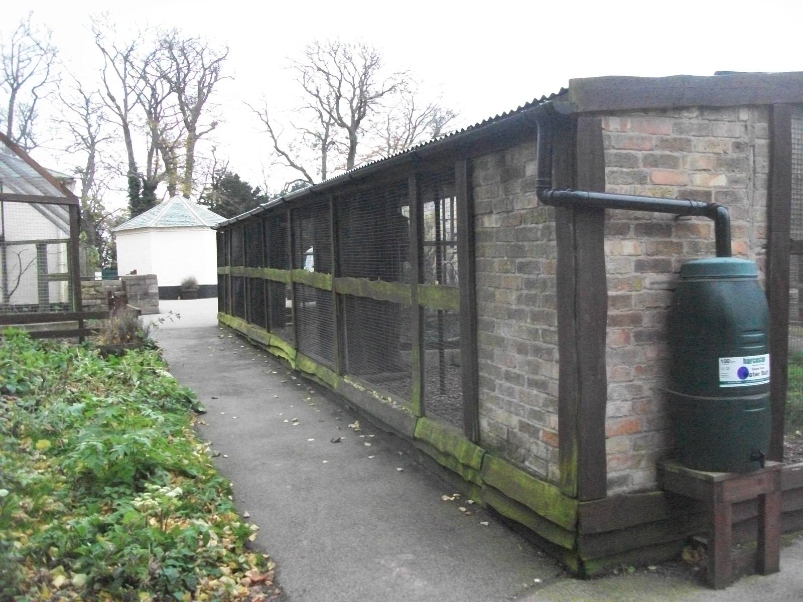 Sewerby Zoo 9th November 2012