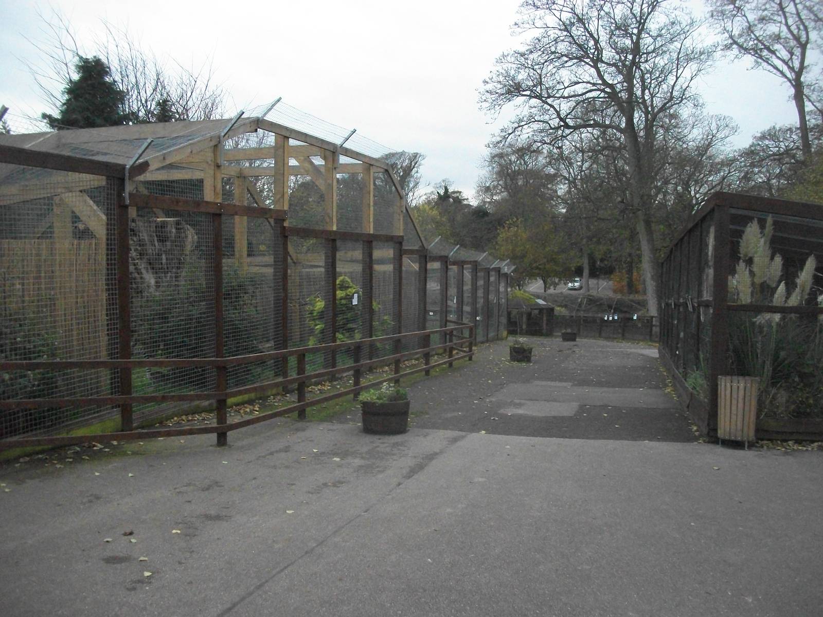 Sewerby Zoo 9th November 2012