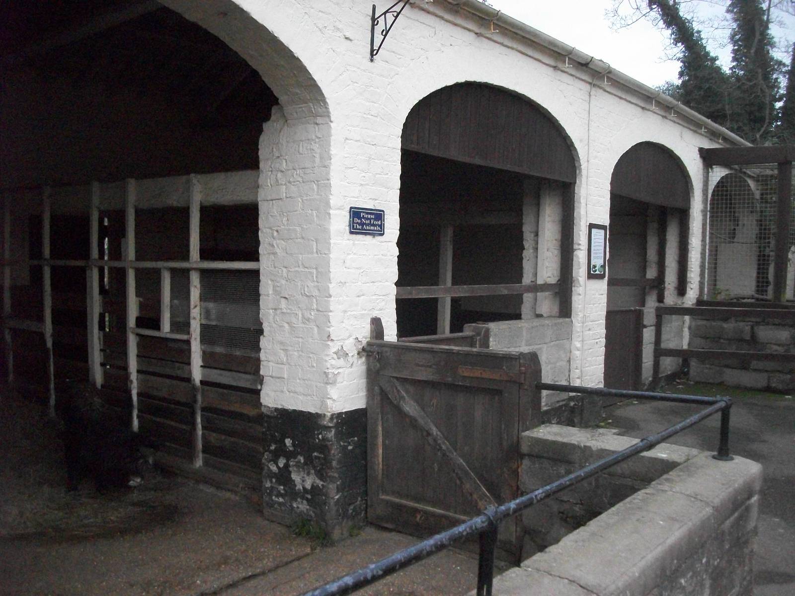 Sewerby Zoo 9th November 2012